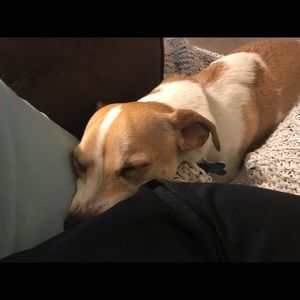 Meet your Posher, Shannon